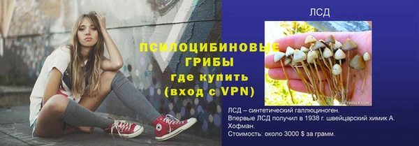каннабис Алзамай