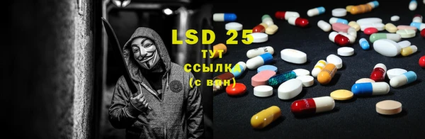 PSILOCYBIN Алексеевка